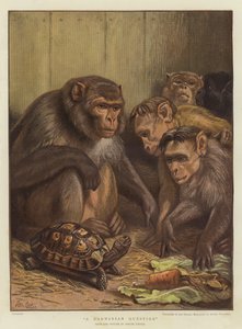 Et darwinistisk spørsmål (chromolitho)